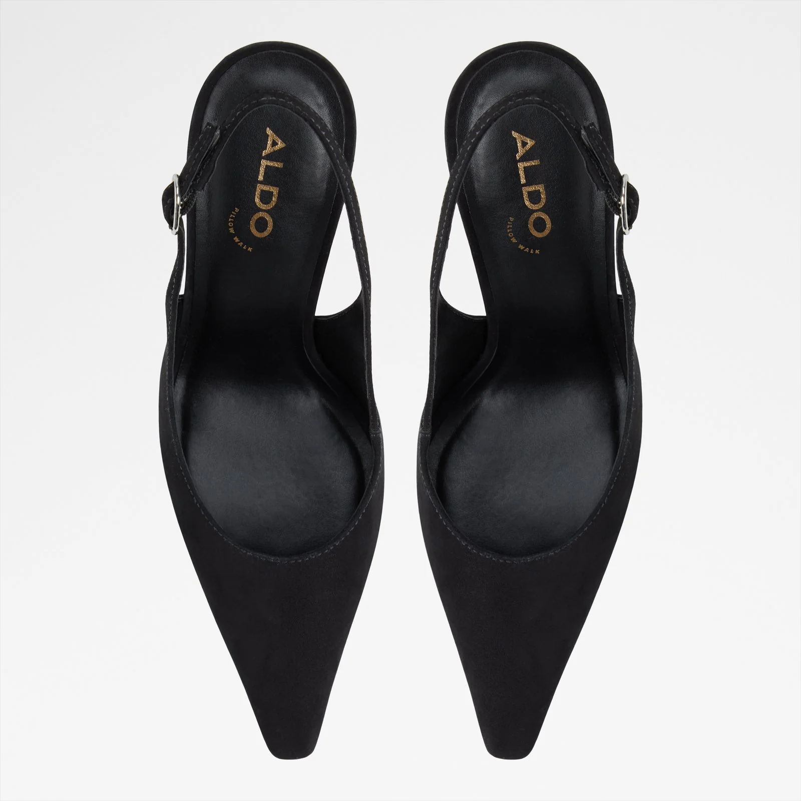 Daphnea - Image 7
