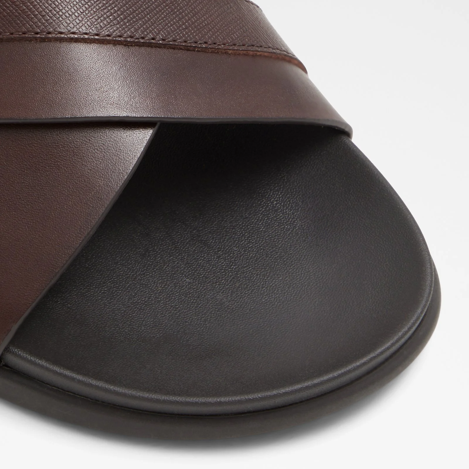 Delmar - Image 6