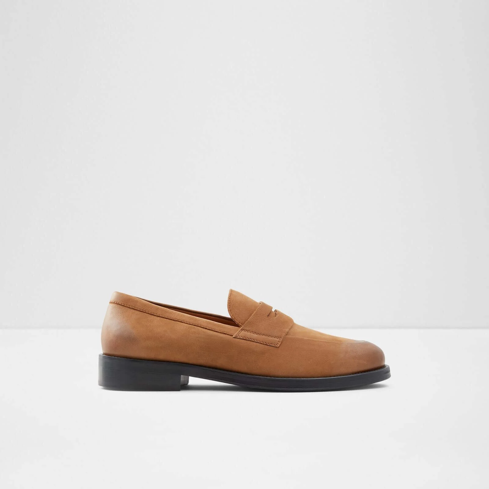 Duke - Image 2