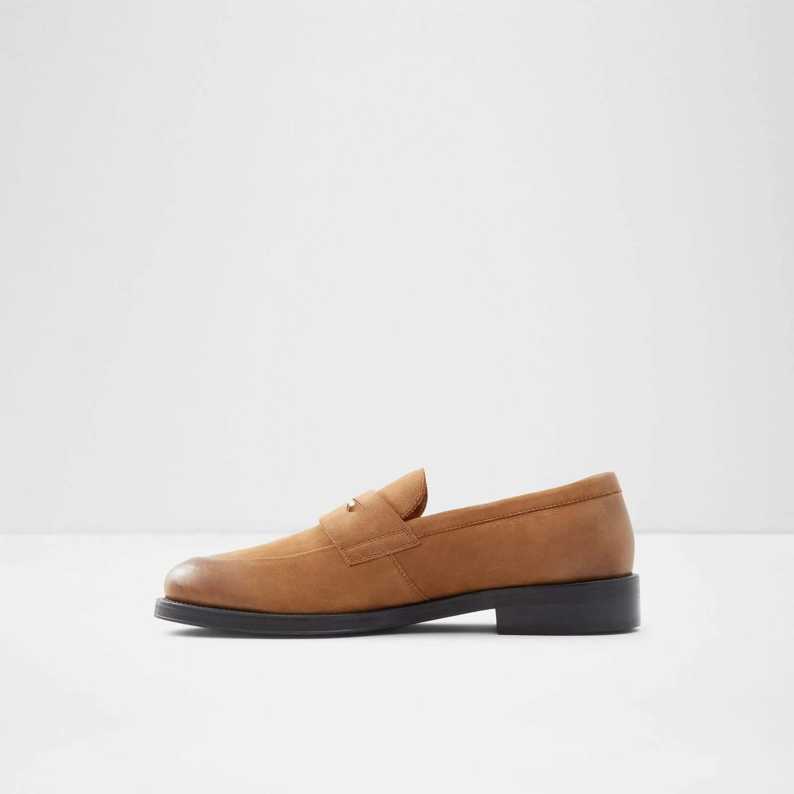 Duke - Image 4