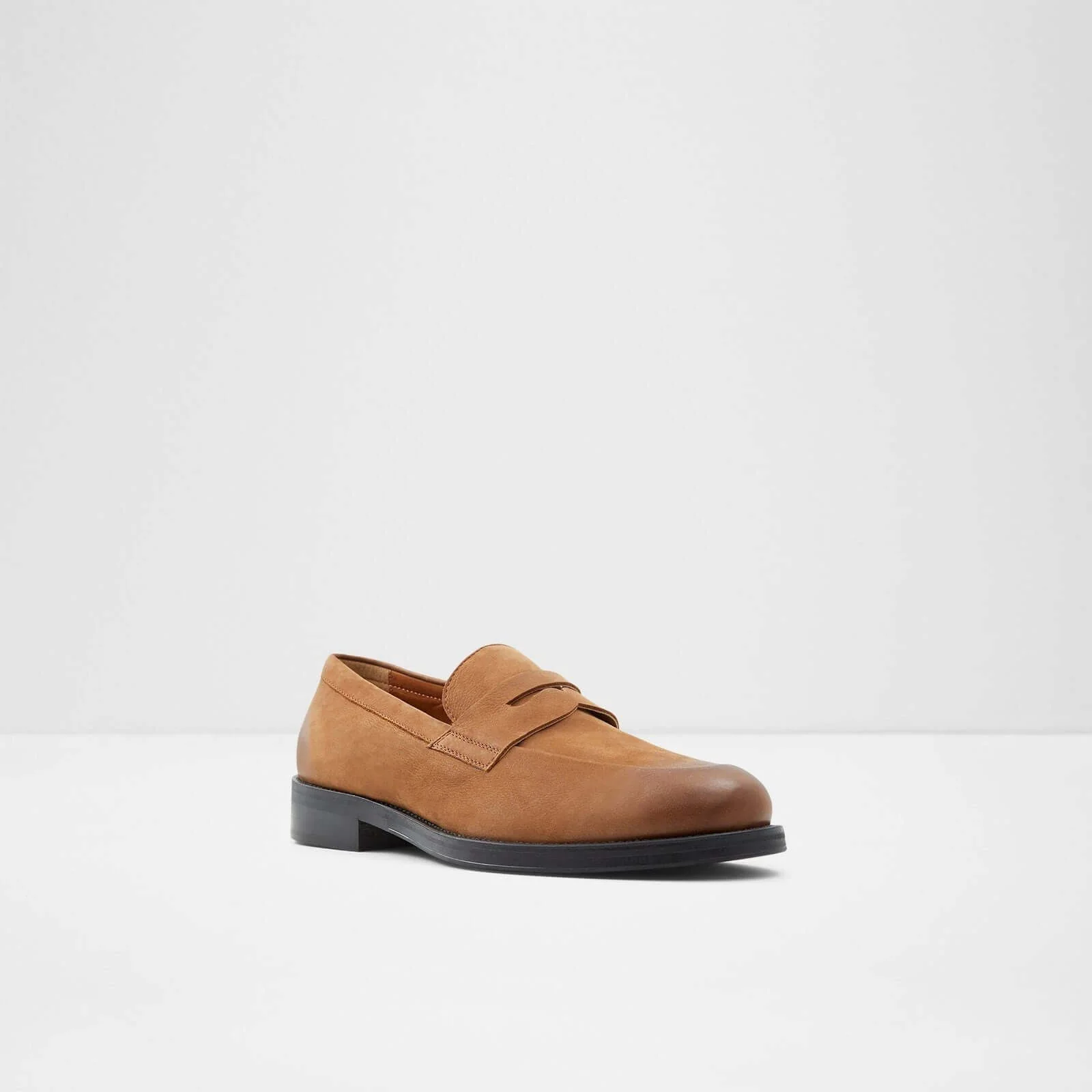 Duke - Image 5