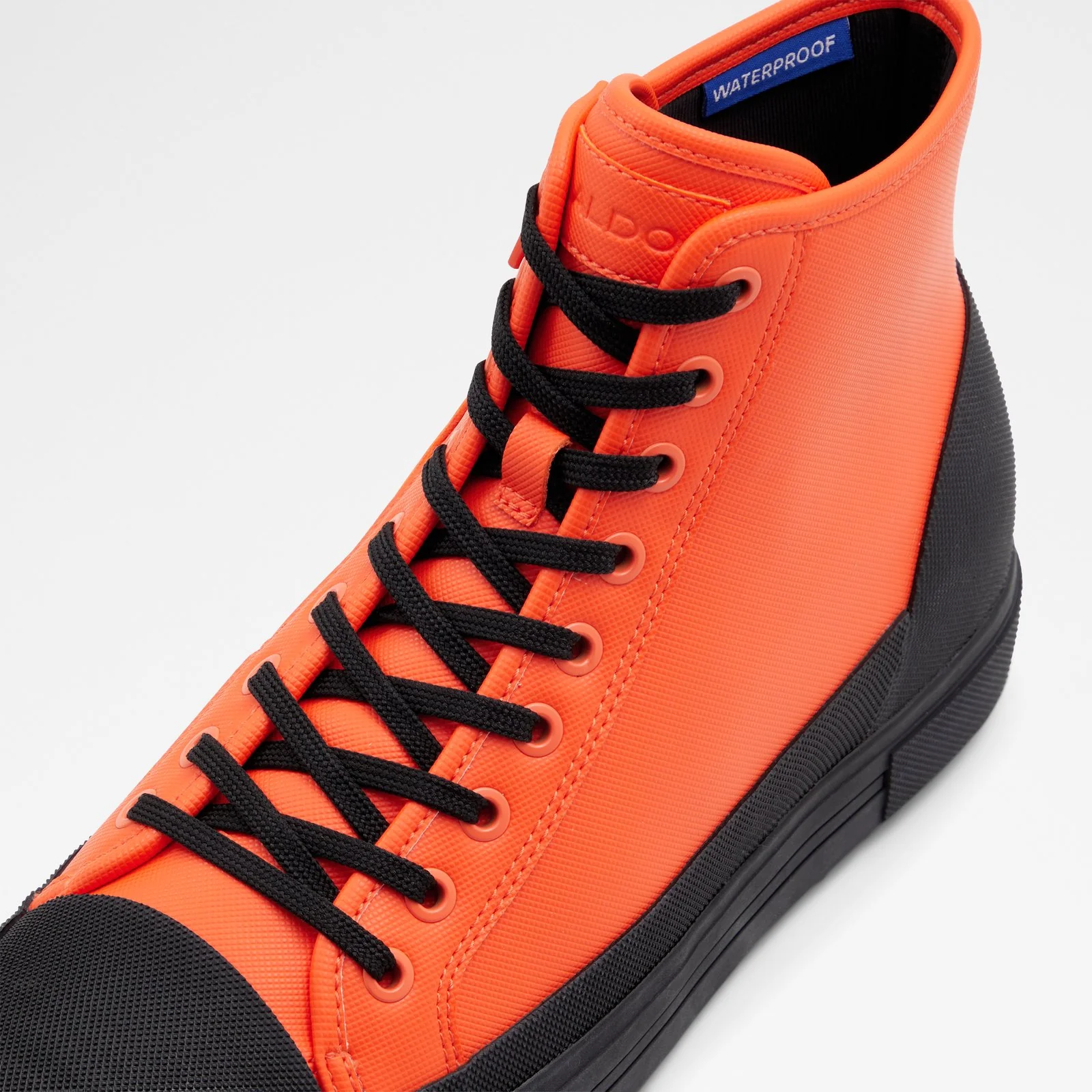 Freesole - Image 6
