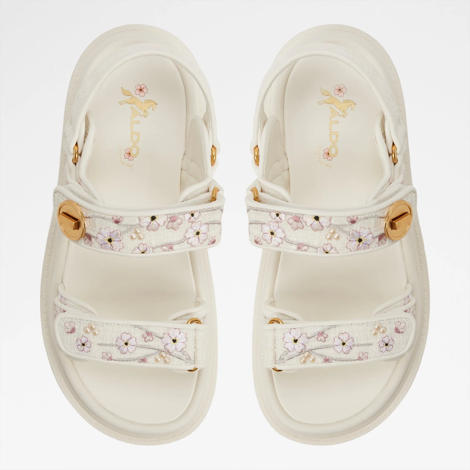 Linette - Image 7