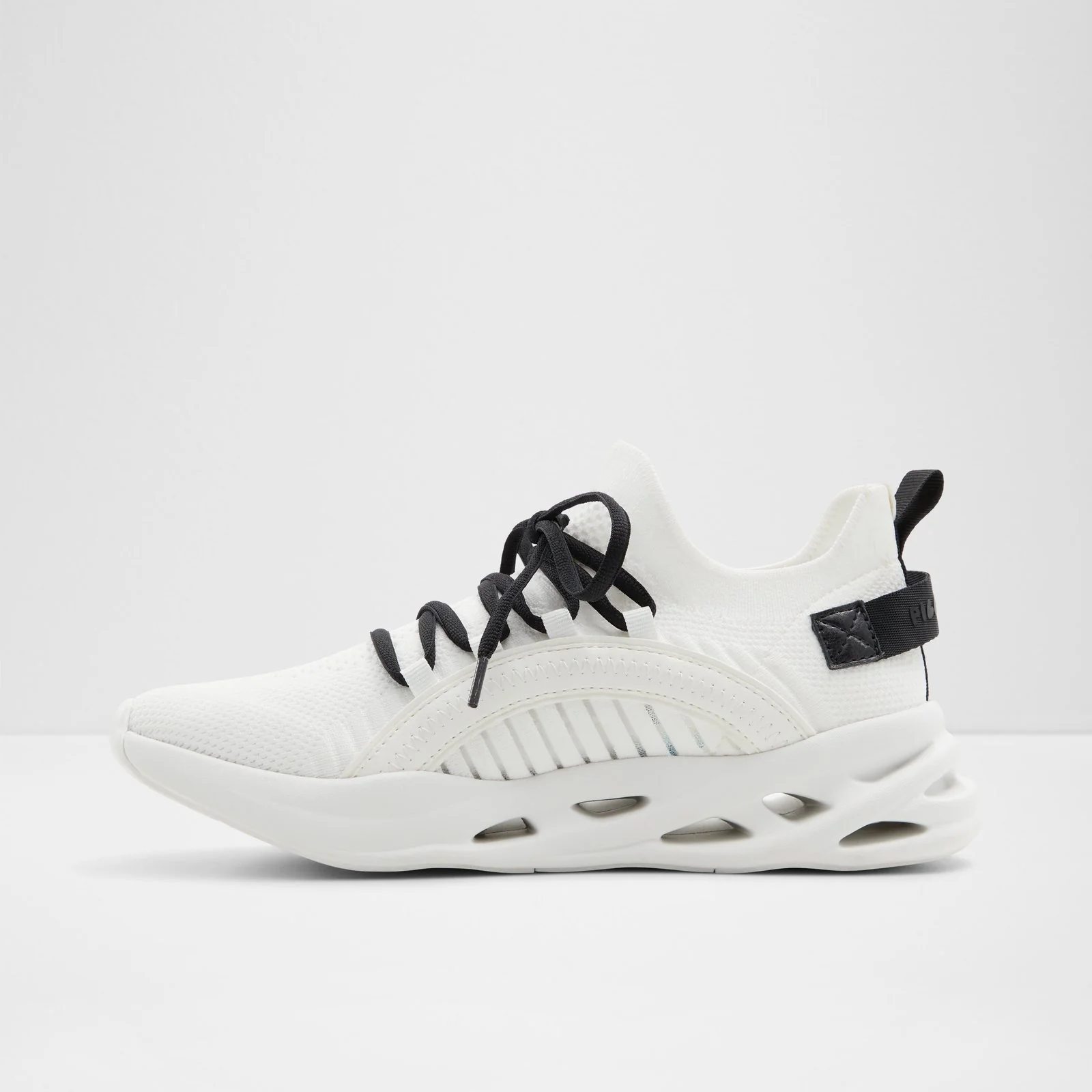 Motionxx - Image 4