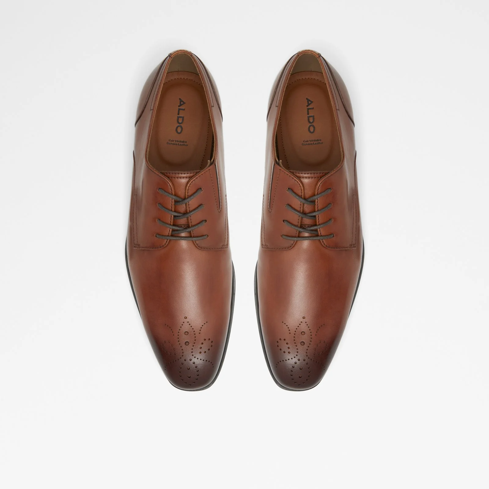 Reyes - Image 7