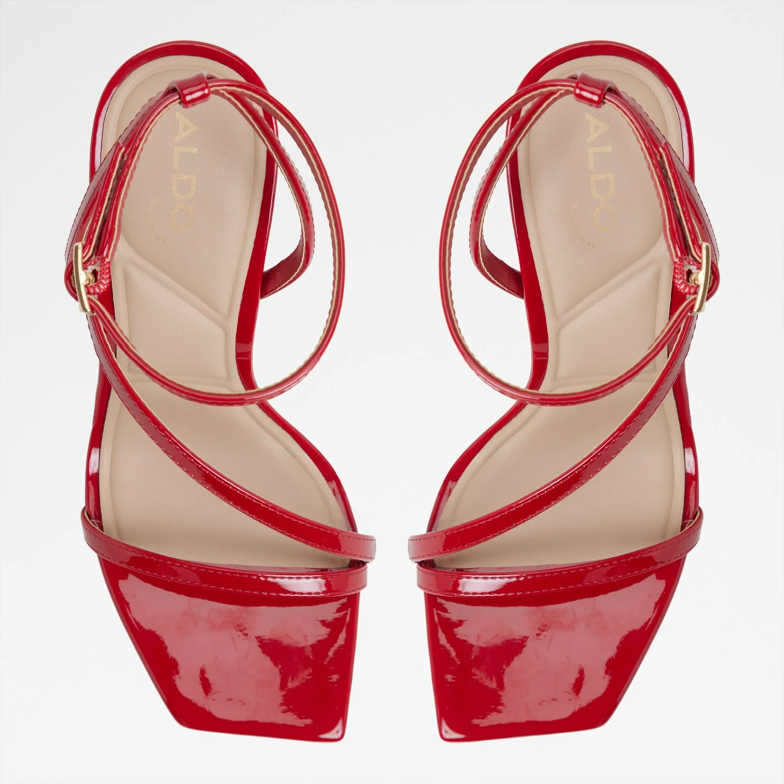 Scintilla - Image 7