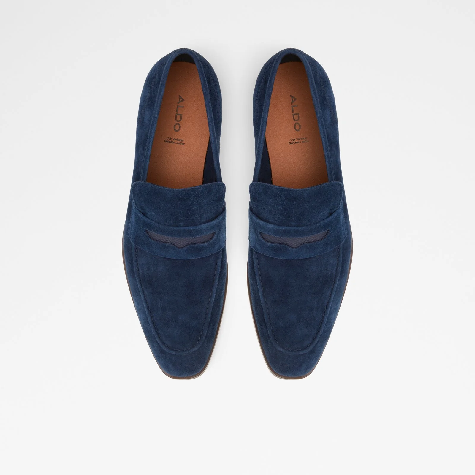 Spector - Image 7