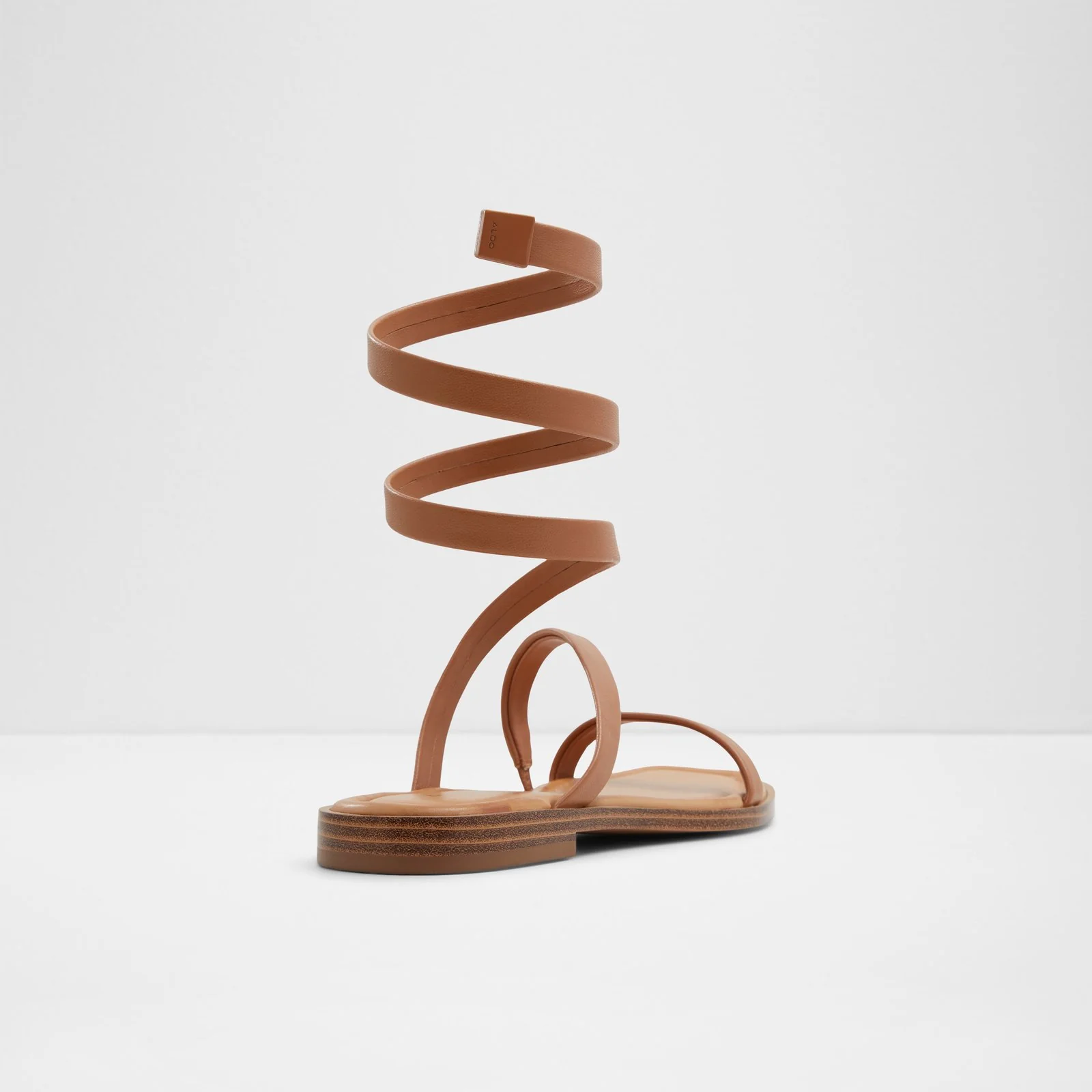 Spinella - Image 3
