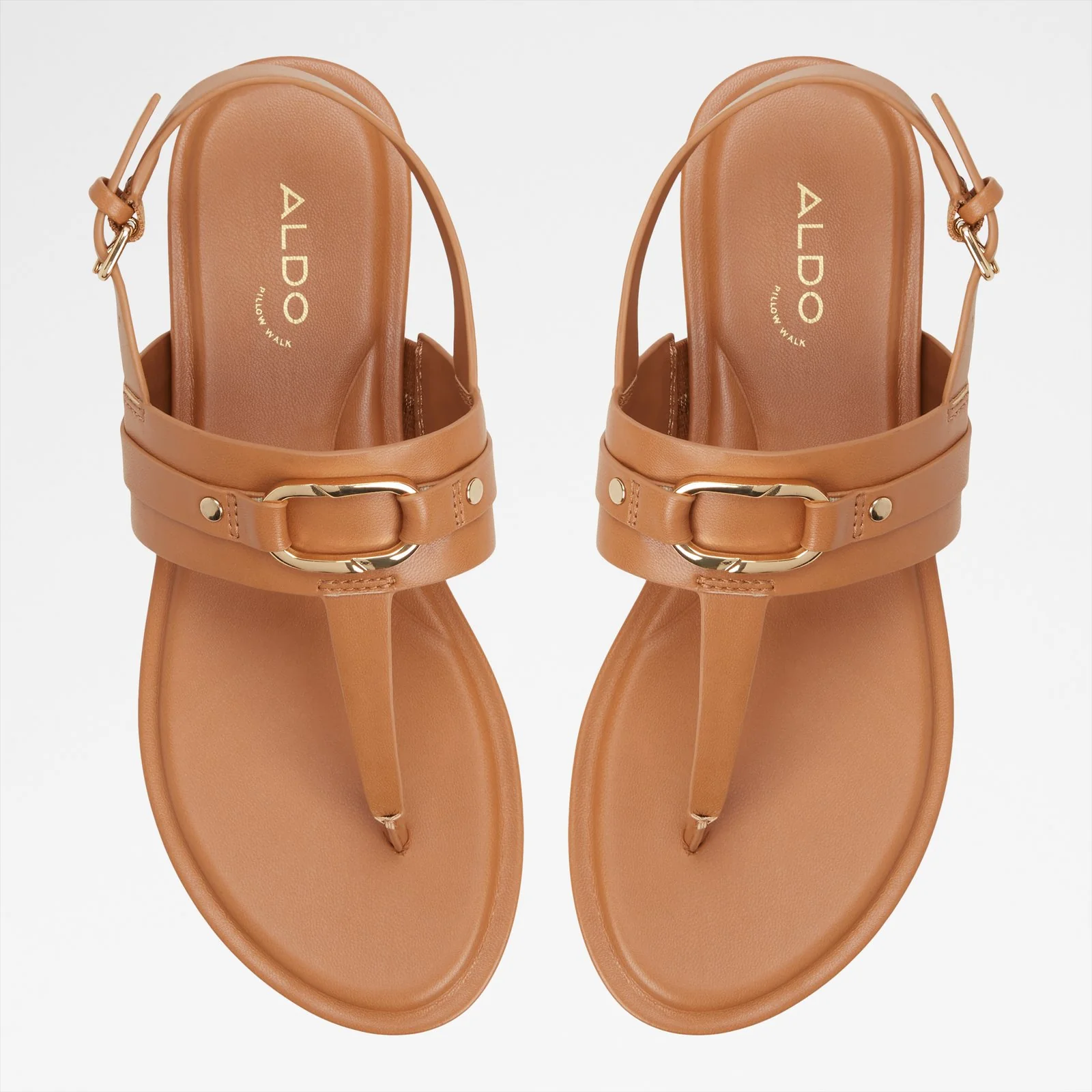 Taylen - Image 7