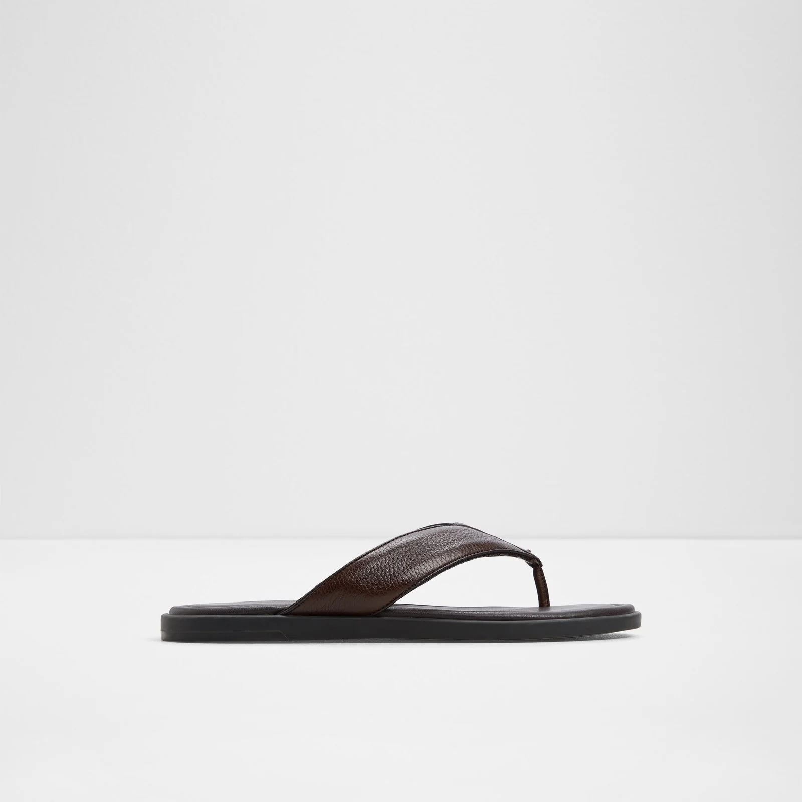 Tazzo - Image 2