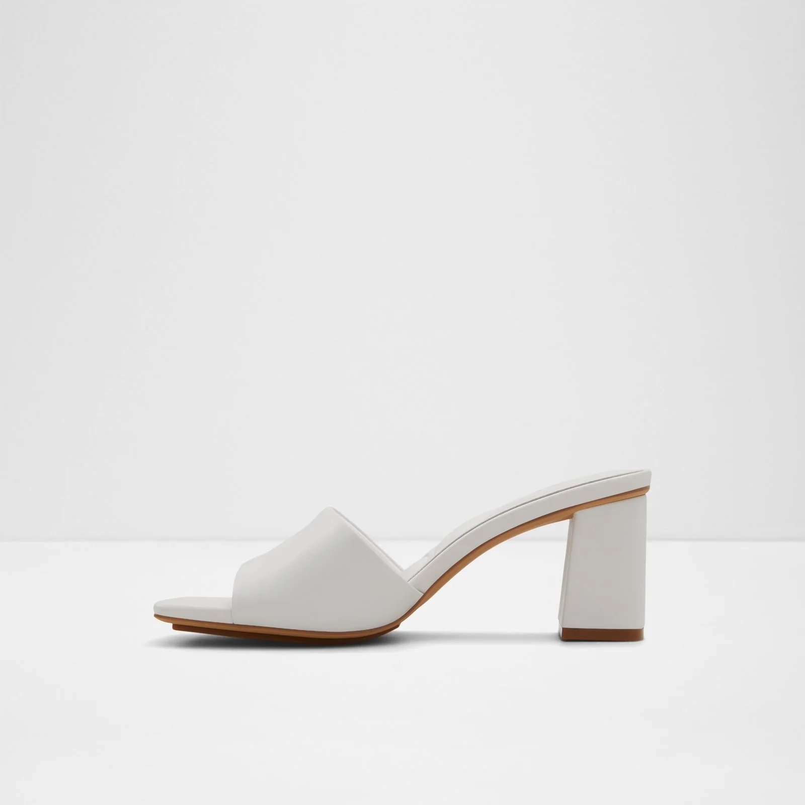 Vidish - Image 4