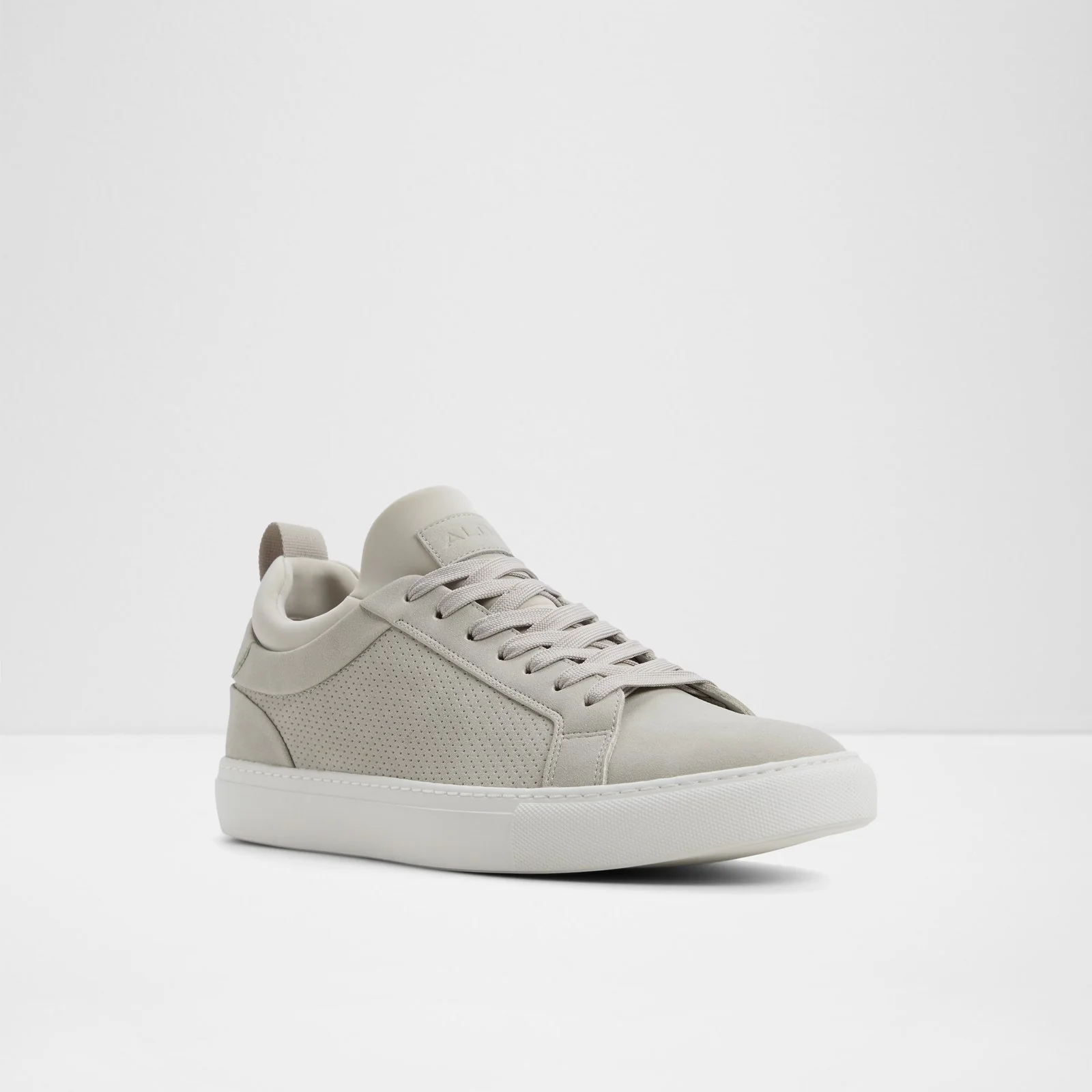 Xavier - Image 5