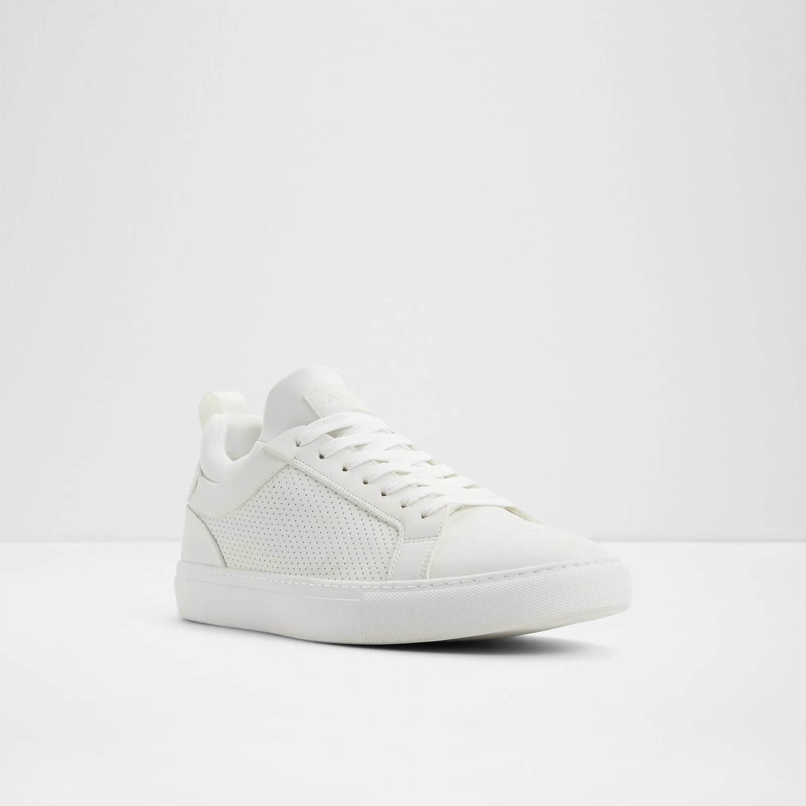 Xavier - Image 5